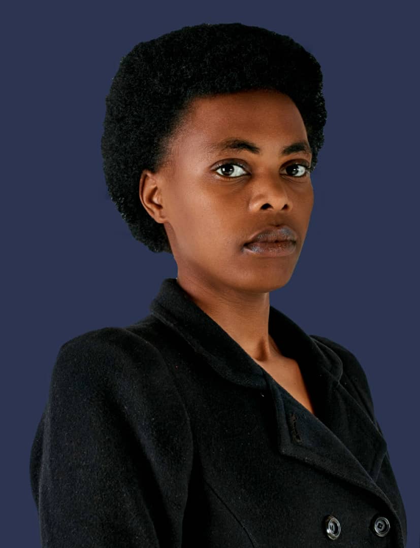 no internet connection